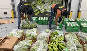 DNCD refuerza operativos en puertos y aeropuertos por temporada navideña