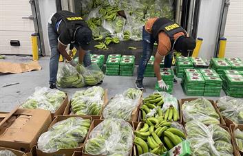 DNCD refuerza operativos en puertos y aeropuertos por temporada navideña