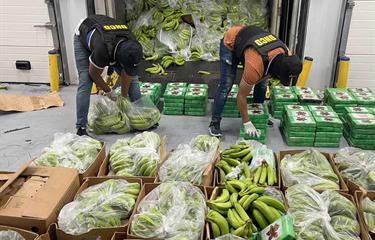 DNCD refuerza operativos en puertos y aeropuertos por temporada navideña