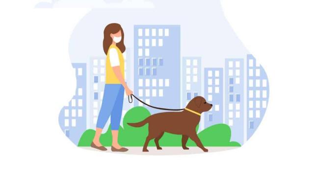 Paseando al perro