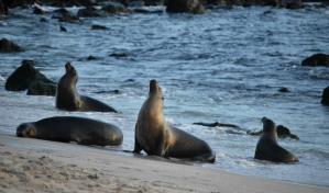 El biobanco que guarda el tesoro genético de las Islas Galápagos