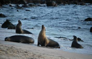 El biobanco que guarda el tesoro genético de las Islas Galápagos