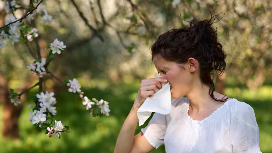 Alergias aeroambientales: cómo evitarlas en verano 