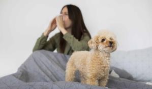 Mascotas y alergias: algunos consejos