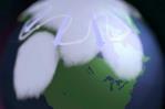 ¿Sabes qué es un vórtice polar? ¿Sabes qué es un vórtice polar?