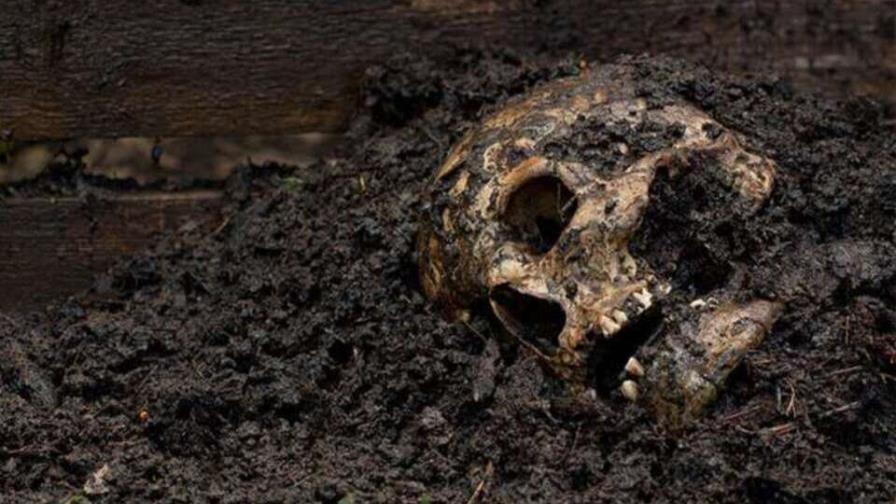 Hallan restos humanos en municipio del estado mexicano de Nuevo León