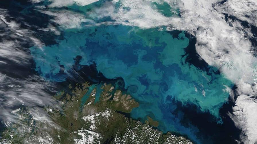 El cambio climático está alterando el color del océano: refleja cambios en los ecosistemas