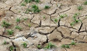 FAO propone acciones para adaptar la agricultura a los nuevos desafíos climáticos