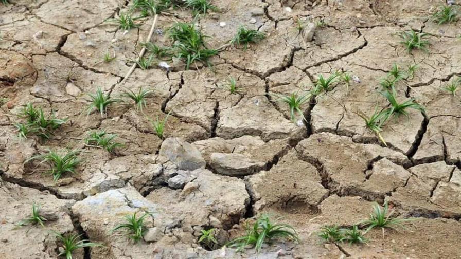 FAO propone acciones para adaptar la agricultura a los nuevos desafíos climáticos