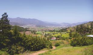 ProCibao. El Cibao y la arquitectura productiva del Estado que Funciona