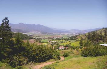 Las huellas que Japón y España dejaron en el campo de Constanza