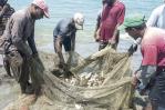 El sector pesquero dominicano tiene una infraestructura relativamente deteriorada El sector pesquero dominicano tiene una infraestructura relativamente deteriorada
