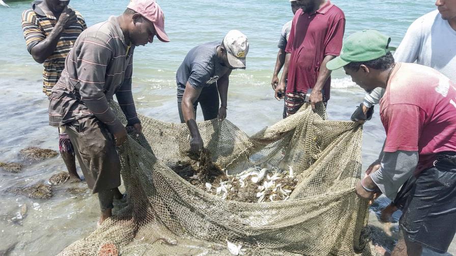 El sector pesquero dominicano tiene una infraestructura relativamente deteriorada