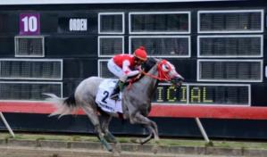 Maremoto P. es favorita para ganar Clásico Sprinter Nativos