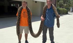 Un joven de 22 años logra capturar la pitón más larga en Florida