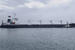 En peligro el acuerdo Ucrania-Rusia para exportar granos pese al conflicto En peligro el acuerdo Ucrania-Rusia para exportar granos pese al conflicto