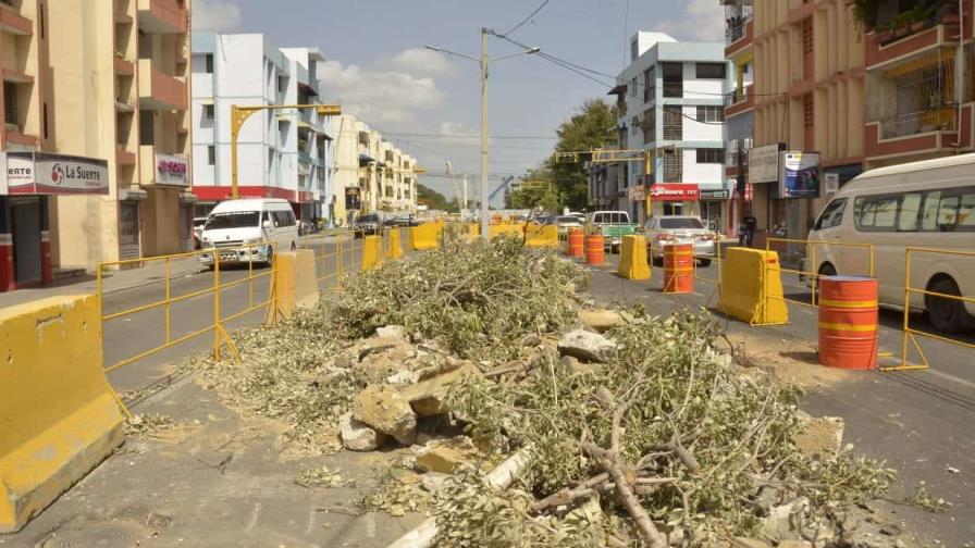 Talan árboles que adornaban avenida Las Carreras de Santiago por construcción de obras