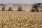 Ucrania dice que Rusia pone en riesgo la seguridad alimentaria y buscará seguir exportando Ucrania dice que Rusia pone en riesgo la seguridad alimentaria y buscará seguir exportando