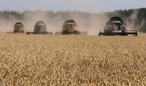 Ucrania dice que Rusia pone en riesgo la seguridad alimentaria y buscar&aacute; seguir exportando