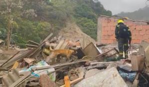 Buscan sobrevivientes tras alud que dejó más de una decena de muertos en Colombia
