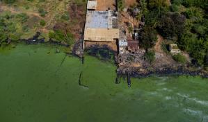 La contaminación pinta de verde el principal lago de Venezuela