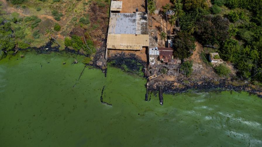 La contaminación pinta de verde el principal lago de Venezuela