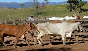 Acuerdo comercial UE-Mercosur: dos caras de una misma moneda