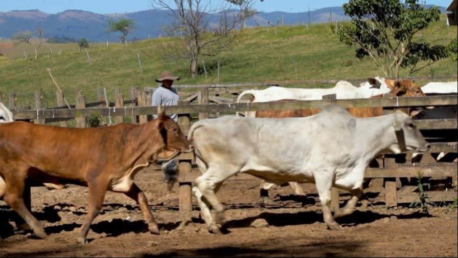 Acuerdo comercial UE-Mercosur: dos caras de una misma moneda