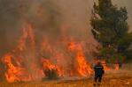 España, Francia y Túnez se suman a los países que luchan por controlar incendios