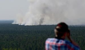 Narices electrónicas husmean incendios forestales en Alemania
