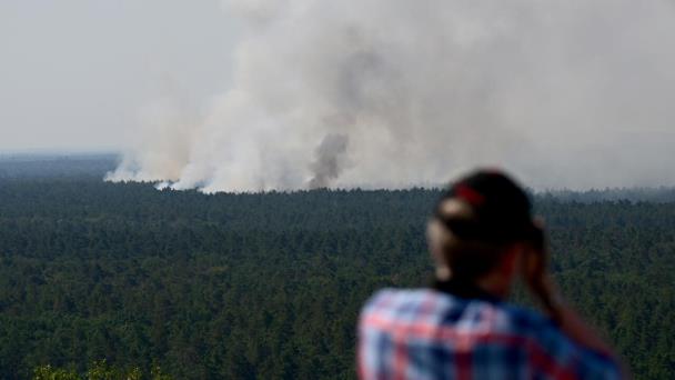Narices electrónicas husmean incendios forestales en Alemania