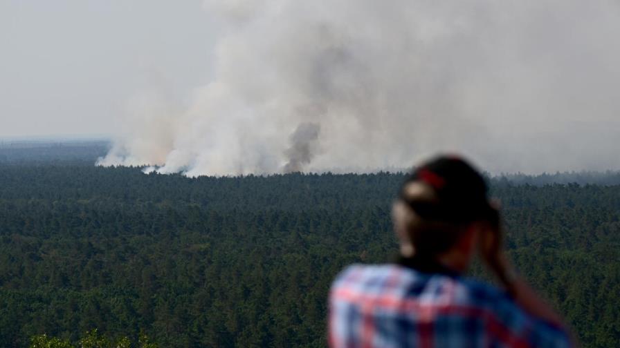 Narices electrónicas husmean incendios forestales en Alemania