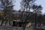 Situación actual de los incendios y las altas temperaturas en Grecia Situación actual de los incendios y las altas temperaturas en Grecia