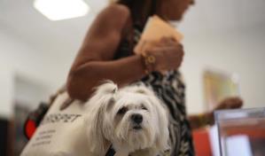 Españoles acuden a las urnas para votar en unas elecciones generales