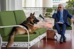 Uno de los perros de Biden, implicado en varios incidentes en la Casa Blanca Uno de los perros de Biden, implicado en varios incidentes en la Casa Blanca