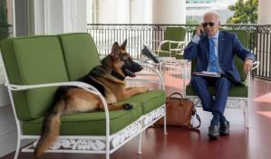 Uno de los perros de Biden, implicado en varios incidentes en la Casa Blanca