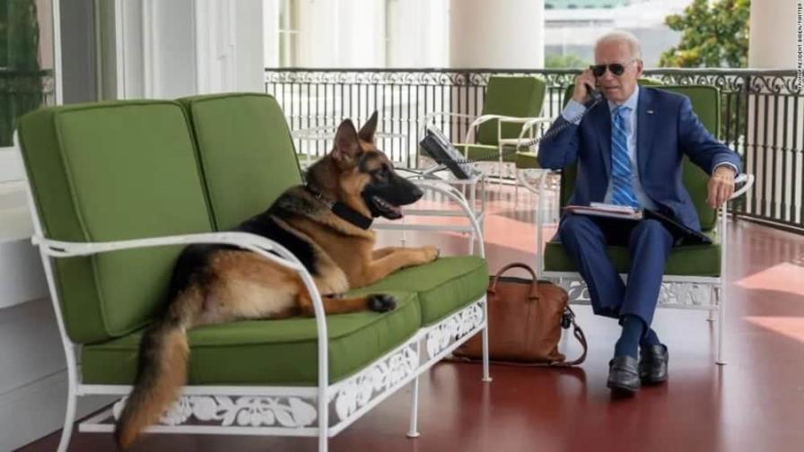 Uno de los perros de Biden, implicado en varios incidentes en la Casa Blanca
