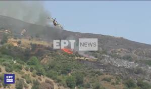 Se estrella en Grecia un avión bombardero de agua que combatía incendios