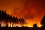 Incendios en Grecia: los voluntarios se esmeran para ayudar a las autoridades Incendios en Grecia: los voluntarios se esmeran para ayudar a las autoridades