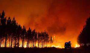 Incendios en Grecia: los voluntarios se esmeran para ayudar a las autoridades