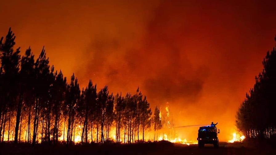 Las altas temperaturas y el viento siguen propagando el fuego en Grecia, Italia y Argelia