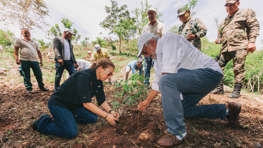 Sur Futuro y Consorcio Energético Punta Cana-Macao reforestan en área protegida privada de Azua