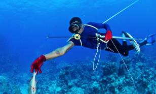 Más del 80 % de los pescadores a nivel nacional utilizan compresor pese a prohibición por decreto presidencial