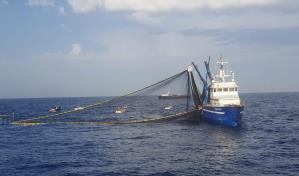 Rusia prohíbe la importación de productos de pescado y mariscos de países inamistosos