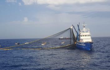 Rusia prohíbe la importación de productos de pescado y mariscos de países inamistosos