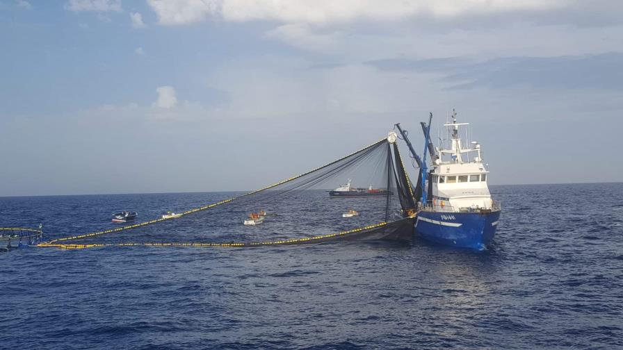 Rusia prohíbe la importación de productos de pescado y mariscos de países inamistosos