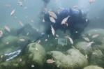 La temperatura del mar en Florida alcanza un posible récord mundial La temperatura del mar en Florida alcanza un posible récord mundial
