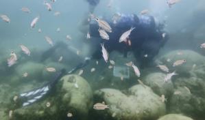 La temperatura del mar en Florida alcanza un posible récord mundial