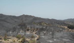 Carrera contrarreloj para contener incendios en Grecia antes de regreso de fuertes vientos
