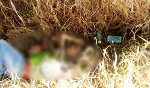 Al menos cuatro hombres ejecutados en municipio Rancho Arriba